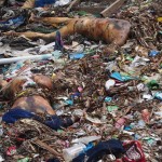 Day Nine – Super-Typhoon Yolanda Dead bodies in the water along the shoreline in Magallanes, Tacloban