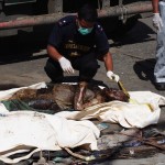 Day Eleven – Super Typhoon Yolanda A member of the SOCO team examines a body retrieved 10 days after typhoon Yolanda struck