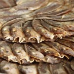 Some Dangerous-Looking Dried Fish