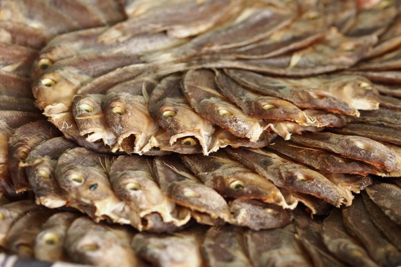 Some Dangerous-Looking Dried Fish