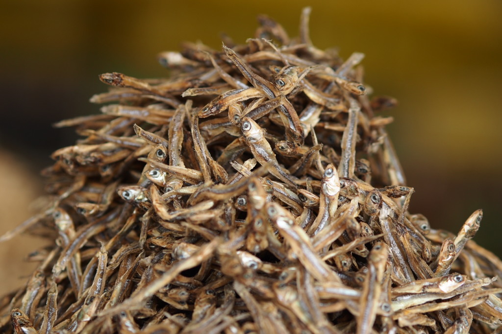 A Pile of Dried Fish