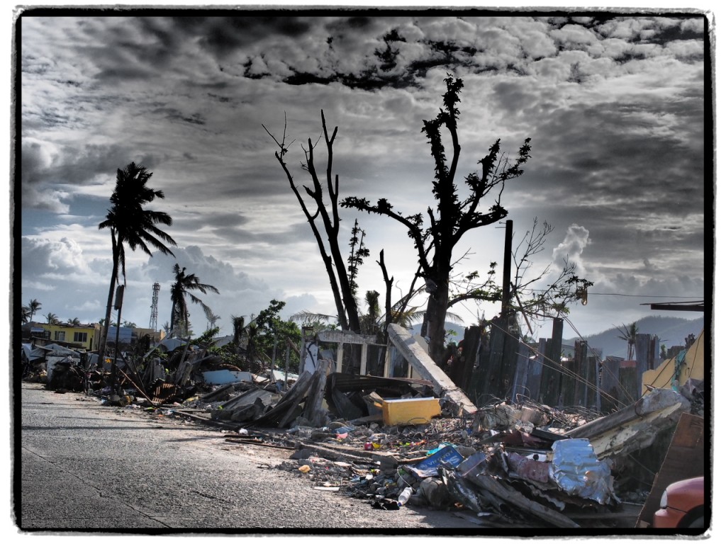 Trees still standing with destroyed houses all around