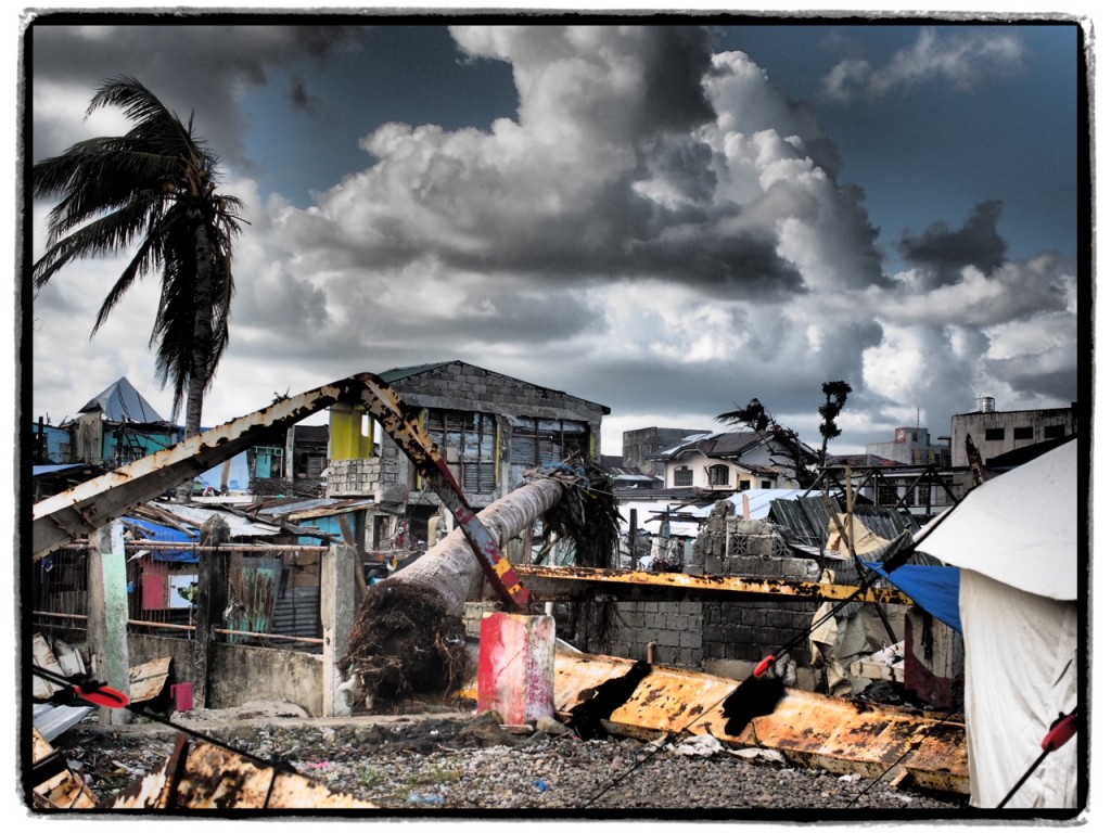 Neither trees nor steel could stand up to the force of the typhoon winds and storm surge