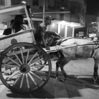 Pony Cart in Cebu City