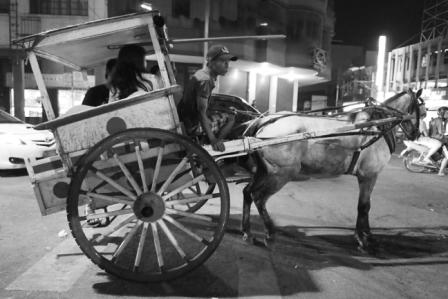 Pony Cart in Cebu City
