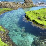 Green Island Shore