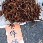 Chinese Herbal Medicine for Bones