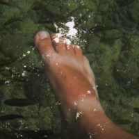 Fish about to nibble on my feet. 