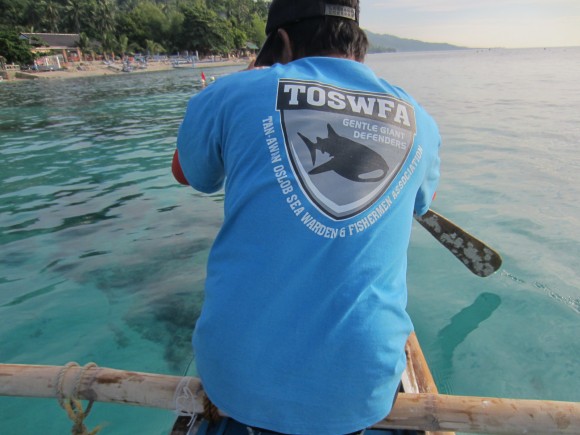 Whale Shark Watching in Oslob Gentle Giant Defenders at the Whale Watching Center in Oslob