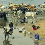Gambela 013