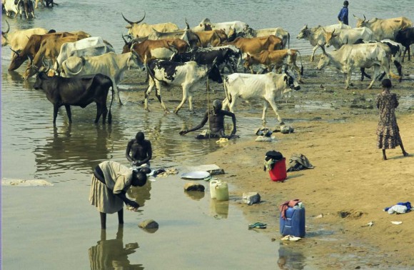 Gambela 013