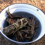 Guinea Blog-Optimized067