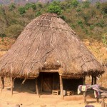 Guinea Blog-Optimized068