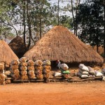 Guinea Blog-Optimized070