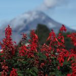 Featured Images - 7555