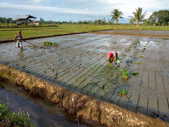 08 – Alue Bilie Bordello Decor and Troublesome Meulaboh Tuktuk to Banda Aceh - 01 - 7469