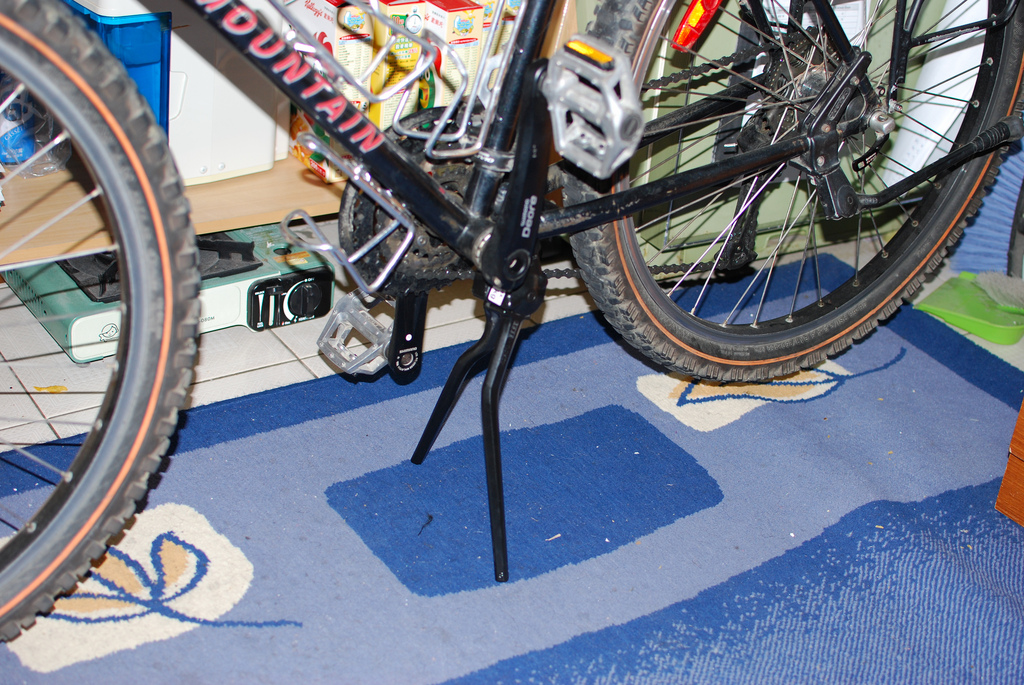 Pletscher ESGE Double-Leg Kickstand on the Beast
