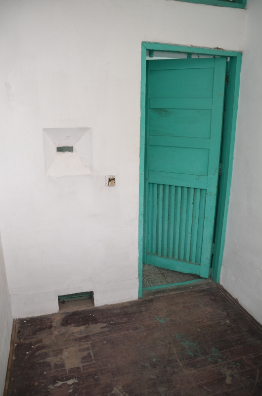 Inside a Typical Cell