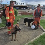 Members of the CASDDA team and their trained dogs