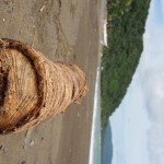 Beach Near Virac