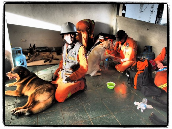 Day Sixteen – Super Typhoon Yolanda The CASDDA team cares for their dogs in a shady spot