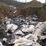 A pile of bodies lie in one of the mass graves at Basper near Tacloban