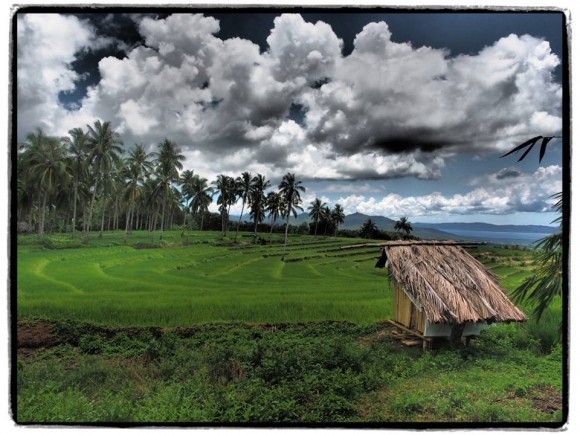 Cross-Island Road on Biliran Rice Terraces on Cross-Island Road