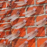 Dragonfly Wings at MOCA