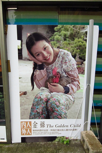 The Golden Child